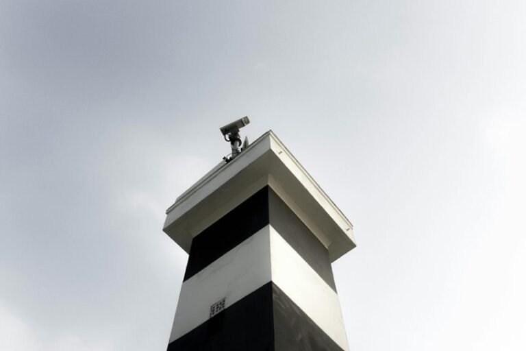 dynamic industry data analysis